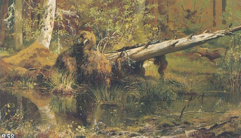 Ivan Shishkin Forest Sweden oil painting art
